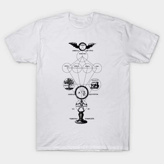 The Origins of Alchemy T-Shirt by Anthraey